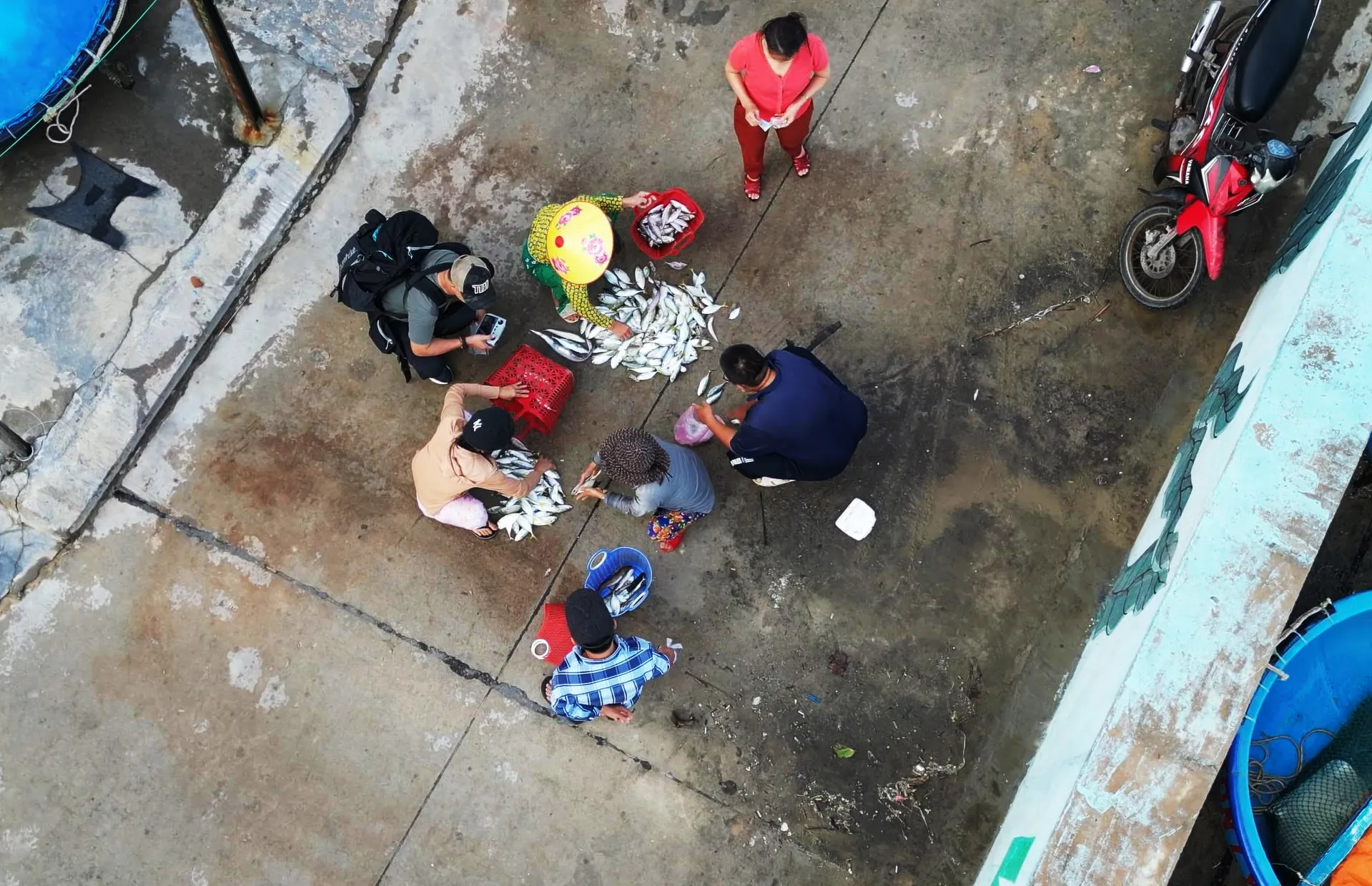 Chợ sớm: Bản đồ đời sống làng chài