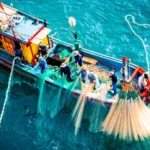 [CNSC #5] Đi biển Nhơn Lý – Một đêm làm ngư dân thực thụ